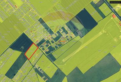 Teren 20,000mp Timisoara, zona Metro2 - 3