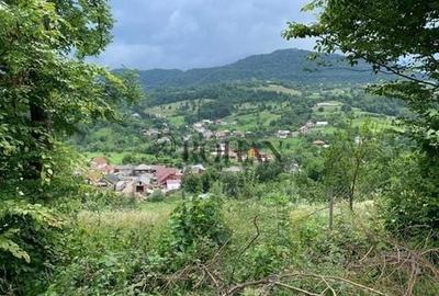 Teren intravilan de 5360 mp, în Tiha Bârgăului - 4