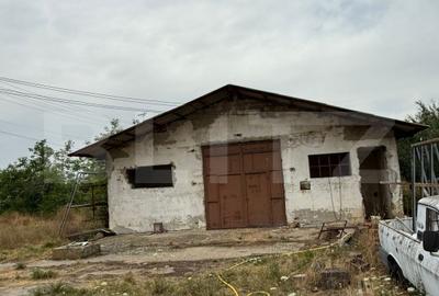 Ferma de Vanzare in judetul Timis, la nord est de Timisoara, 10ha 6 hambare - 6