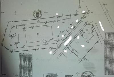 Teren de 5200 mp, în Parcul Carol