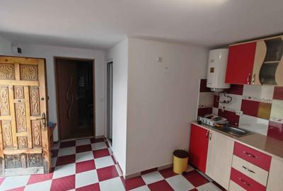 Casă cu 3 camere cu Teren 1528 Mp în Optași - 7