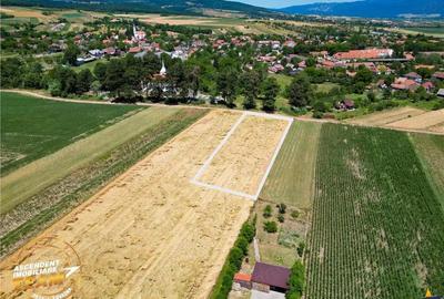 Teren de 2268 mp, în Valea Crișului - 1