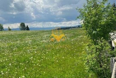 Teren Construcții intravilan de 10000 mp, în Mărișel