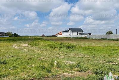 Teren intravilan 1.7 ha Dragomiresti Vale-Zurbaua, deschidere 34m la strada asfa - 11