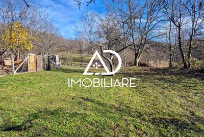 Casă individuală cu 4 camere cu Teren 1748 Mp în Cernișoara - 8