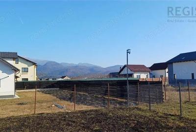 Casa 4 camere Cristian - 1