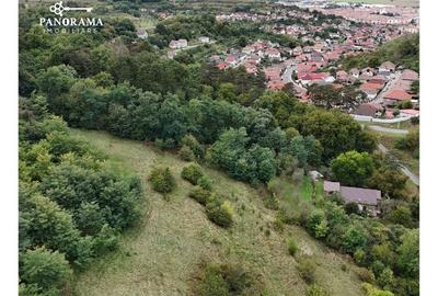 Teren intravilan de aproape 3 ha la liziera pădurii | cartierul Gloria - 8