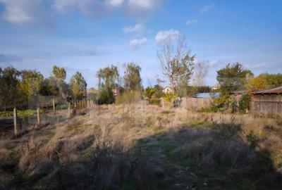 Teren de 1600 mp, în Cernele