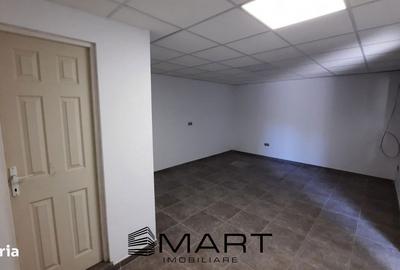 Spațiu comercial, de 800 mp, în Turnișor - 5