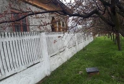 Casă cu 4 camere cu Teren 1000 Mp în Devesel - 1