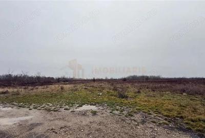 Parcele de teren industrial, Tautii Magheraus - 3