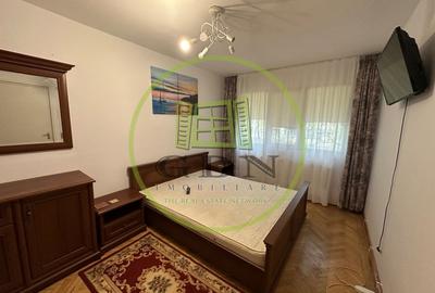 Apartament cu 2 camere semidecomandat, mobilat în Brazda lui Novac - 3