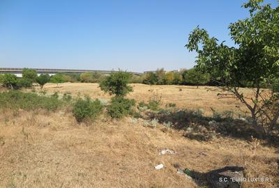 Teren de 1500 mp, în Aradul Nou - 4