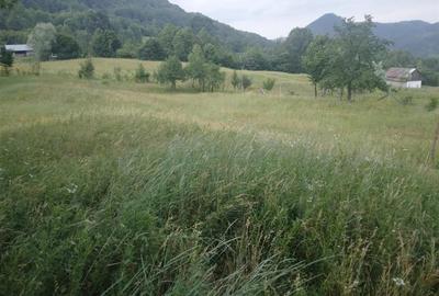 Teren Construcții extravilan de 2695 mp, în Exterior Est - 2