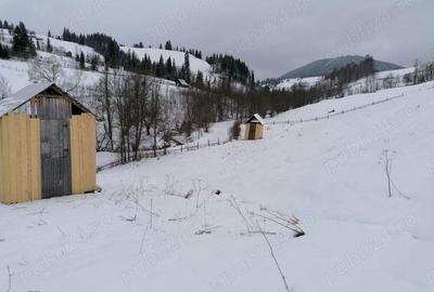 Teren 12.066 mp intravilan de vanzare in Bucovina Comuna Breaza Zona Breaza De sus - 3