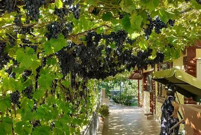 Vand casa com Jorasti jud Galati - 6