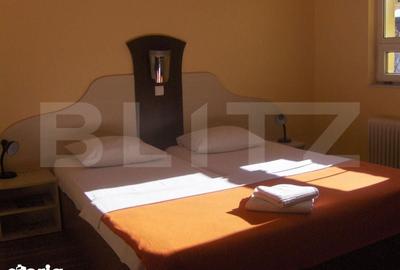 Spațiu comercial, de 450 mp, în Lugojului - 6