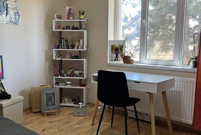 Casă cu 3 camere cu Teren 375 Mp în Paleu - 17