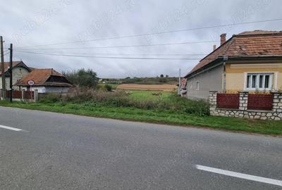 Teren de 2730 mp, în Petrești - 5