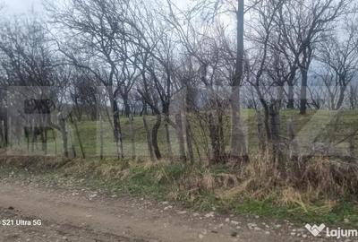 Teren în Schiulești - 13