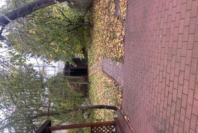 Inchiriez casa pentru locuin?a ?i afacere zona Brancoveanu-Luica - 12