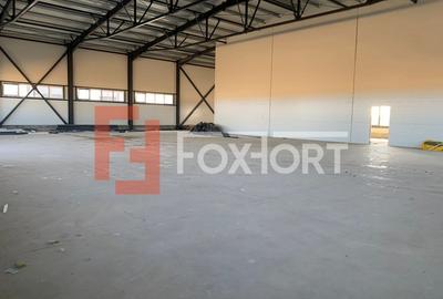 Hala industriala 600 mp, curte 1398 mp, parcare, toate utilitatile - Ghiroda - 7