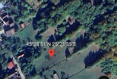 Teren de 4277 mp, în Bran - 7