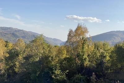 Teren retras panoramic Valea Doftanei 1350 mp panta lina, cu utilitati - 6