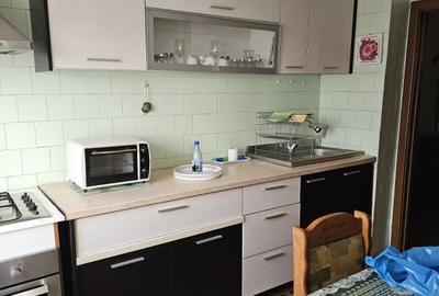 Apartament cu 3 camere, mobilat în George Enescu - 5