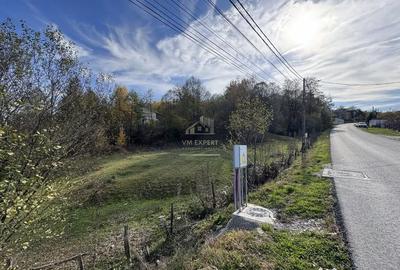 Teren de 13167 mp, în Bughea de Sus - 16