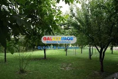 VANZARE 10.000 MP LOCALITATEA ILEANA 49 KM BUCURESTI - 8