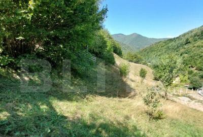 Teren cu autorizatie de constructie, 1130 mp in Muntele Rece - 5