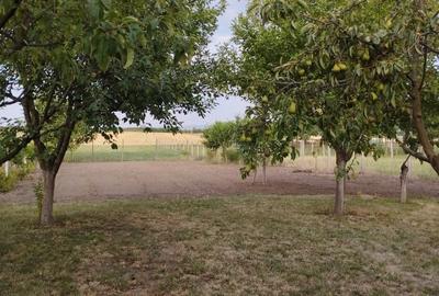 Casă cu 3 camere în Satu Nou - 7