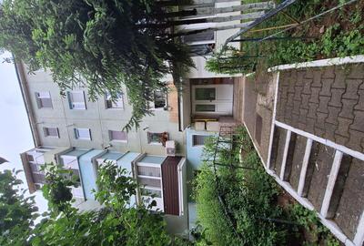 Apartament cu 2 camere semidecomandat în Mureșeni - 1