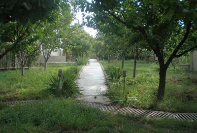 Casă cu 11 camere în Central - 9