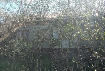 Casă cu 3 camere cu Teren 7300 Mp în Băleasa