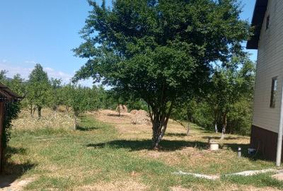 Teren intravilan Drajna 4062mp - 5