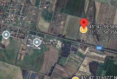 Spațiu comercial, în Moșnița Nouă - 2