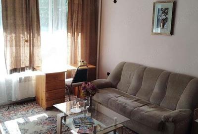 De inchiriat apartament cu o camera in zona Torontalului - 3