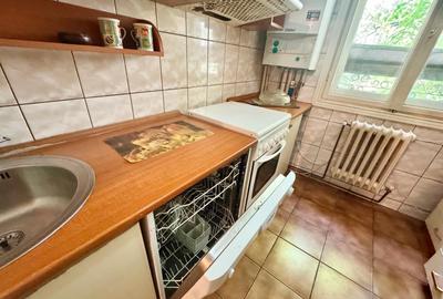 Apartament cu 2 camere semidecomandat, mobilat în Podu Roș - 6