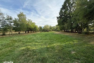Casă cu Teren 6000 Mp în Sâmbăta de Sus - 14