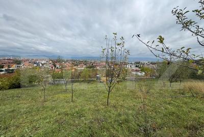 Teren de 1200 mp, în Zăvoi