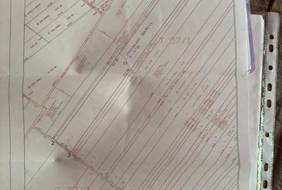 Teren de 24750 mp, în Berceni