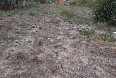 Teren Construcții intravilan de 2000 mp, în Covaci - 1