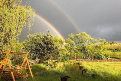 Casă cu 9 camere cu Teren 8233 Mp în Mărgău - 2