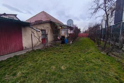 Casă cu 3 camere cu Teren 2000 Mp în Criș - 5