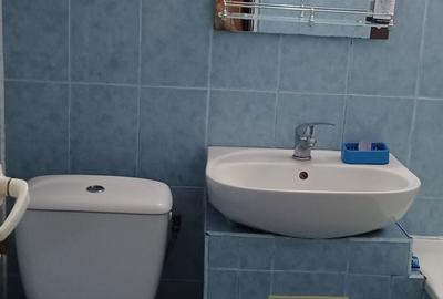 Apartament cu 2 camere semidecomandat în Podu Turcului - 4