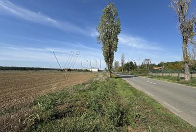 0% comision Teren intravilan – Ciolpani – Izvorani | 1.300 mp - 2