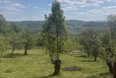 Spațiu comercial, în Predeal - 3