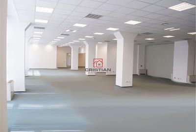 Spațiu comercial, de 250 mp, în Theodor Pallady - 2